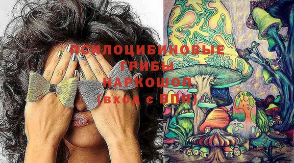 скорость Богородск